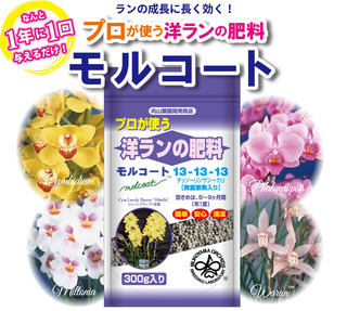 モルコートA4パンフレット_商品メインイメージ.jpg