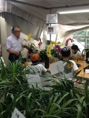 150618_小学校校外学習の様子 (10).jpg