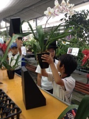 150618_小学校校外学習の様子 (4).jpg