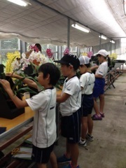150618_小学校校外学習の様子 (8).jpg