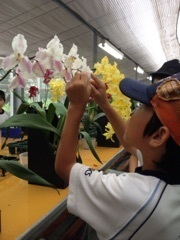 150618_小学校校外学習の様子 (9).jpg