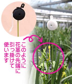 つる太郎の商品イメージ.jpg